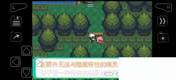 《口袋妖怪究极绿宝石》5.4疯狂模式图文攻略