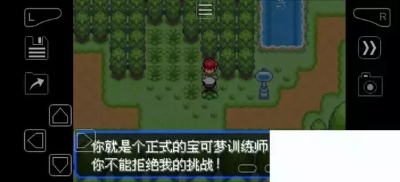 《口袋妖怪究极绿宝石》5.4疯狂模式图文攻略