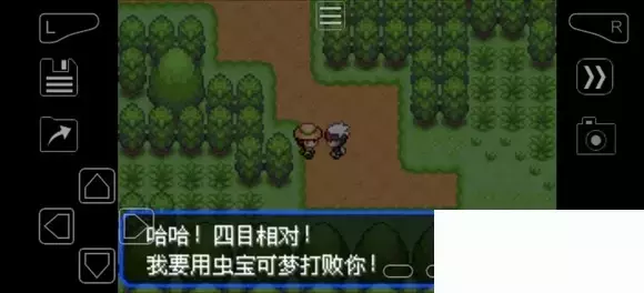 《口袋妖怪究极绿宝石》5.4疯狂模式图文攻略