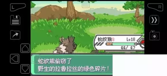 《口袋妖怪究极绿宝石》5.4疯狂模式图文攻略