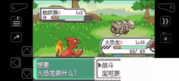 《口袋妖怪究极绿宝石》5.4疯狂模式图文攻略