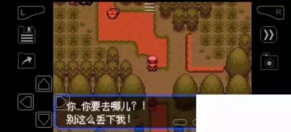 《口袋妖怪究极绿宝石》5.4疯狂模式图文攻略