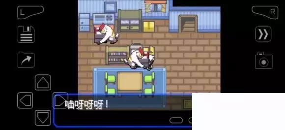 《口袋妖怪究极绿宝石》5.4疯狂模式图文攻略