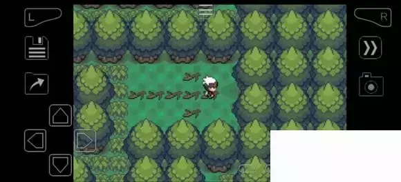 《口袋妖怪究极绿宝石》5.4疯狂模式图文攻略