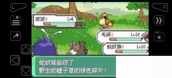 《口袋妖怪究极绿宝石》5.4疯狂模式图文攻略