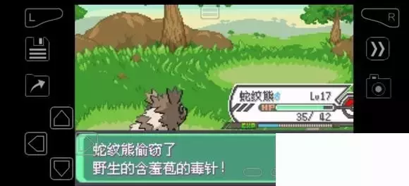 《口袋妖怪究极绿宝石》5.4疯狂模式图文攻略