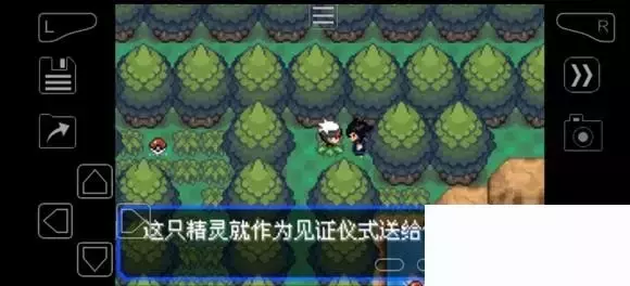 《口袋妖怪究极绿宝石》5.4疯狂模式图文攻略