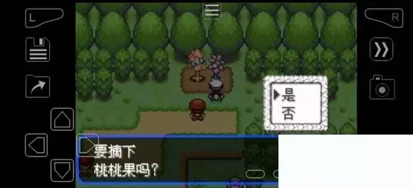 《口袋妖怪究极绿宝石》5.4疯狂模式图文攻略