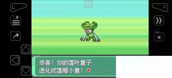 《口袋妖怪究极绿宝石》5.4疯狂模式图文攻略