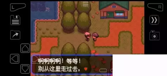 《口袋妖怪究极绿宝石》5.4疯狂模式图文攻略