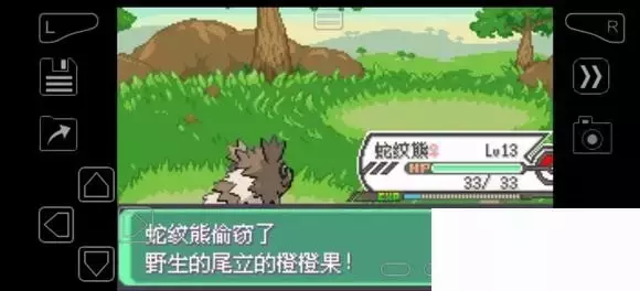 《口袋妖怪究极绿宝石》5.4疯狂模式图文攻略