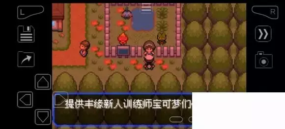 《口袋妖怪究极绿宝石》5.4疯狂模式图文攻略