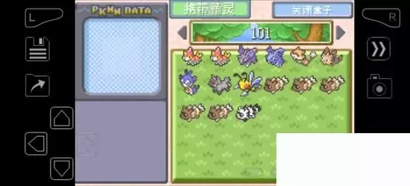 《口袋妖怪究极绿宝石》5.4疯狂模式图文攻略