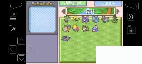 《口袋妖怪究极绿宝石》5.4疯狂模式图文攻略