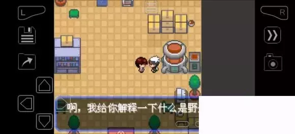 《口袋妖怪究极绿宝石》5.4疯狂模式图文攻略