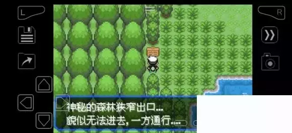 《口袋妖怪究极绿宝石》5.4疯狂模式图文攻略