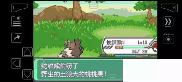 《口袋妖怪究极绿宝石》5.4疯狂模式图文攻略