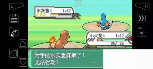 《口袋妖怪究极绿宝石》5.4疯狂模式图文攻略