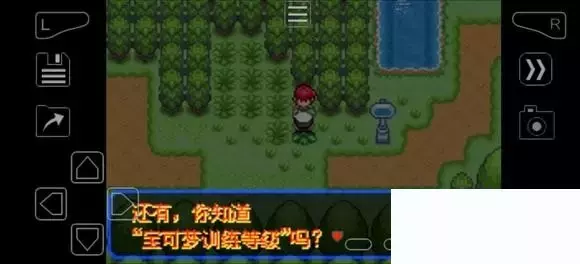 《口袋妖怪究极绿宝石》5.4疯狂模式图文攻略