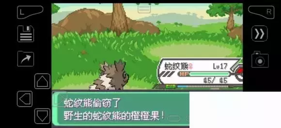 《口袋妖怪究极绿宝石》5.4疯狂模式图文攻略