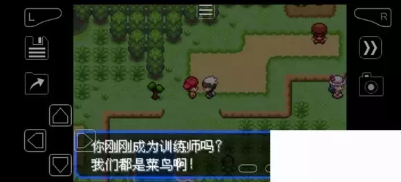 《口袋妖怪究极绿宝石》5.4疯狂模式图文攻略