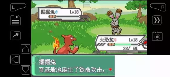 《口袋妖怪究极绿宝石》5.4疯狂模式图文攻略