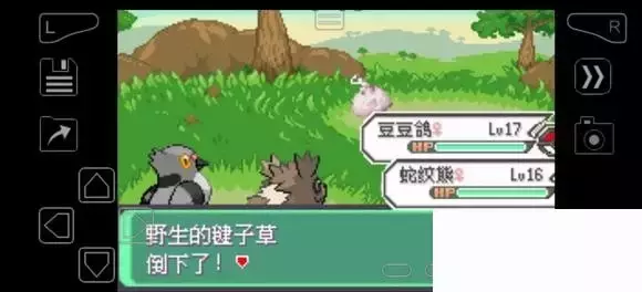 《口袋妖怪究极绿宝石》5.4疯狂模式图文攻略