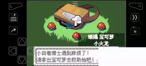 《口袋妖怪究极绿宝石》5.4疯狂模式图文攻略