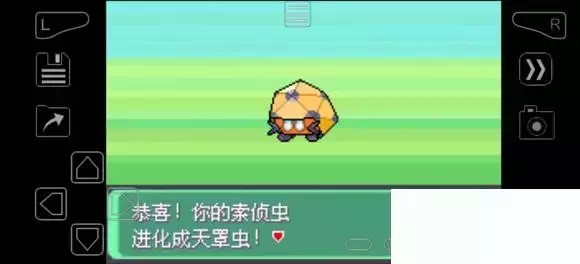 《口袋妖怪究极绿宝石》5.4疯狂模式图文攻略