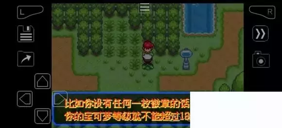 《口袋妖怪究极绿宝石》5.4疯狂模式图文攻略