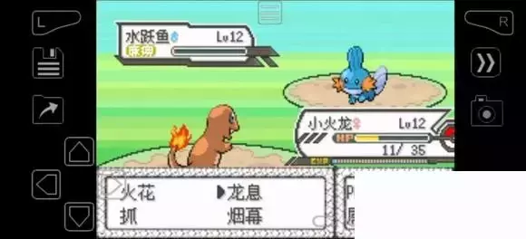 《口袋妖怪究极绿宝石》5.4疯狂模式图文攻略