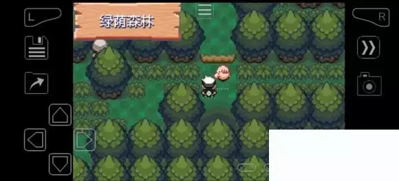 《口袋妖怪究极绿宝石》5.4疯狂模式图文攻略