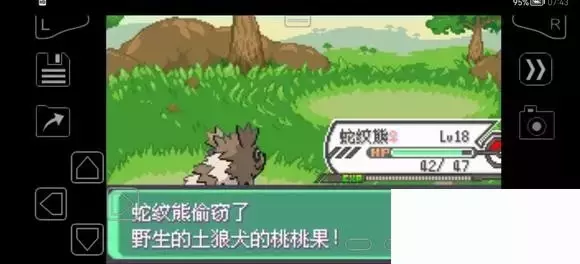 《口袋妖怪究极绿宝石》5.4疯狂模式图文攻略