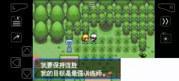 《口袋妖怪究极绿宝石》5.4疯狂模式图文攻略