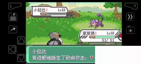 《口袋妖怪究极绿宝石》5.4疯狂模式图文攻略