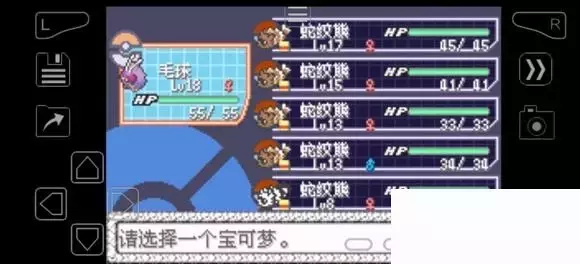 《口袋妖怪究极绿宝石》5.4疯狂模式图文攻略