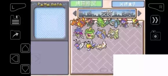 《口袋妖怪究极绿宝石》5.4疯狂模式图文攻略