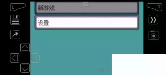 《口袋妖怪究极绿宝石》5.4疯狂模式图文攻略