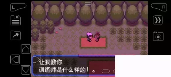 《口袋妖怪究极绿宝石》5.4疯狂模式图文攻略