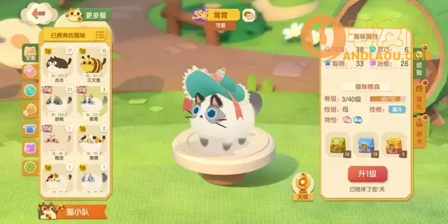 《猫咪公寓2》猫咪获取攻略