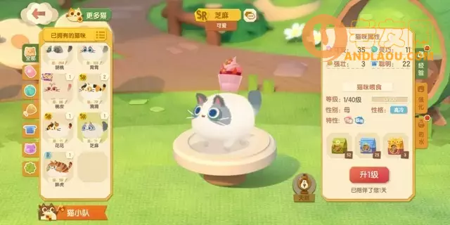 《猫咪公寓2》猫咪获取攻略