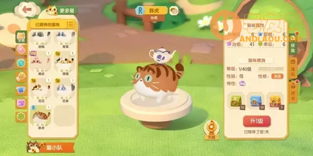 《猫咪公寓2》猫咪获取攻略