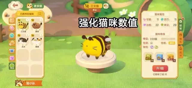 《猫咪公寓2》新手攻略