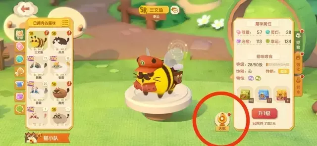 《猫咪公寓2》新手攻略